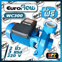 ปั๊มหอยโข่ง EUROFLOW รุ่น WC300 3แรง2นิ้ว (อิตาลี)