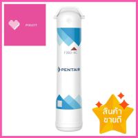 ไส้กรอง PENTAIR F2B2-RC2 TWIN SETPENTAIR F2B2-RC2, TWIN SET WATER FILTER **ขายดีที่สุด**