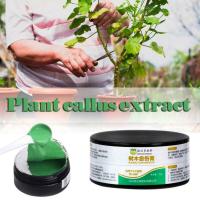 Healing Sealant ปฏิบัติ Mild ไม่มีการกระตุ้น Plant Wound Agent ตัดวาง Fast Recovery Wound Paste Garden Plant สำหรับ Garden