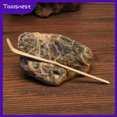 Toolsnest อุปกรณ์เสริมพิธีชงชาไม้ตักช้อนชาไม้ไผ่1ชิ้น