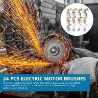 24 Pcs Electric Motor Brushes Carbon Brushes Power Tool Replacement Part for Repair Power Tool 12 Different Sizes