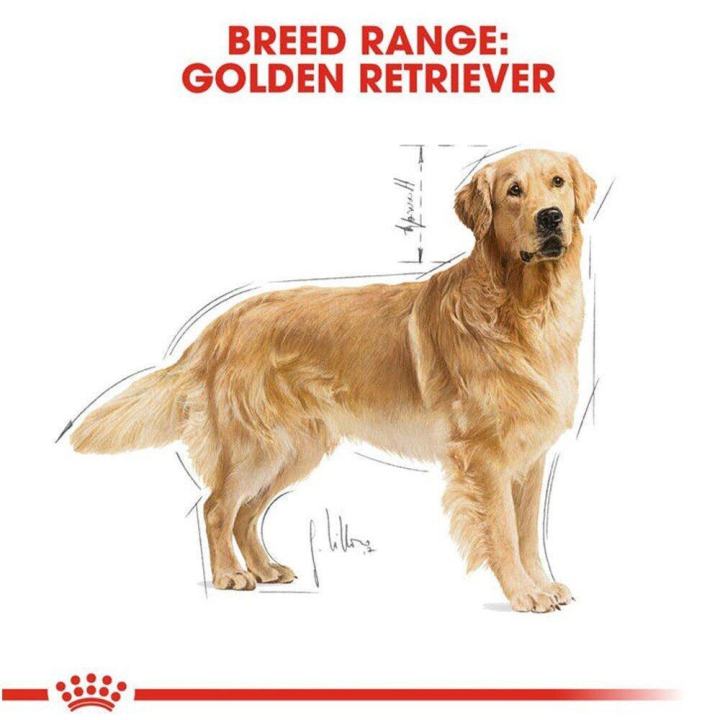 royal-canin-adult-golden-retriever-dog-food-รอยัล-คานิน-อาหารสุนัขโต-พันธุ์โกลเด้นรีทรีฟเวอร์-12กก