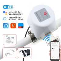 Tuya WiFi Water Valve Gas Shutoff  Ball Valve Timer Garden Smart Faucet Controller Support Alexa Google Assistant SmartLife Valves