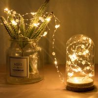 20/50/100 LED Pearl Fairy String Light Copper Wire Wedding Christmas Garland Light for Valentine Birthday Gift Party Decor