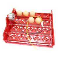 20 Egg Incubator Turn Eggs Tray Eggtester Automatic Incubator Controller Experimental Teaching Equipment