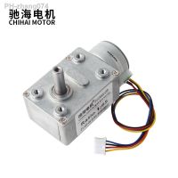 Chihai Motor CHS-GW4632-25BY DC12V High Torque Silence Worm Gear Brushless Motor With Self-locking 25BY Stepper Motor for DIY