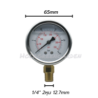 เกจวัดแรงดัน Pressure Gauge ชนิดน้ำมัน oil พ่นหมอก Meter Gauge 25bar เกลียวนอก 1/4 2หุน 12.7mm