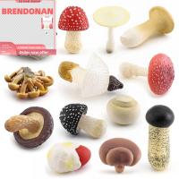 BRENDONAN ดีไอวาย รูปปั้นเห็ดจำลอง สวนนางฟ้า หลากสี Lentinus edodes matsuttake Amanita ของขวัญสำหรับเด็ก แบบจำลองฉาก เชื้อราขนาดเล็ก สากลสากลสากล