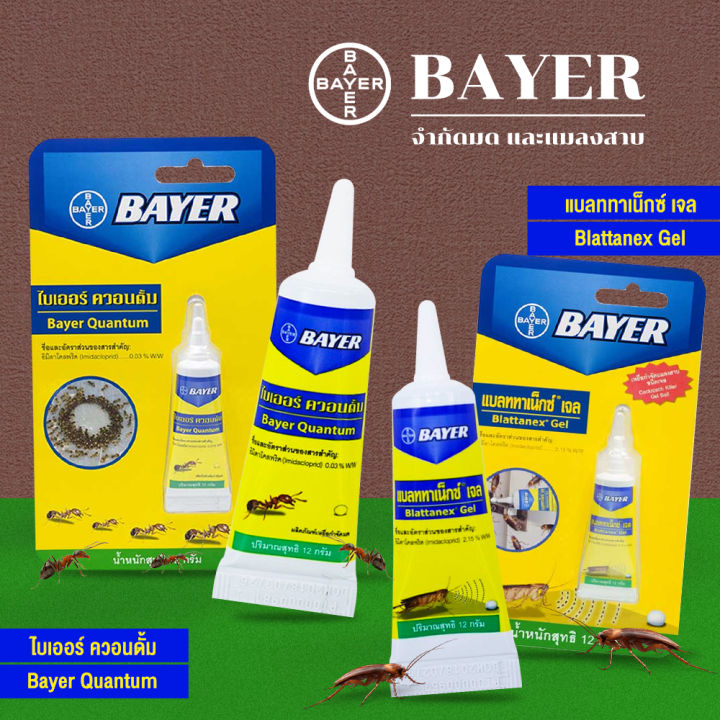 ผลิตใหม่-2022-bayer-quantum-ไบเออร์-ควอนตั้ม-ขนาด-12-กรัม-เจลกำจัดมด-เจลกำจัดแมลงสาบ-เจลกำจัดแมลง-เหยื่อกำจัดมดและแมลงสาบ-กาวน์ดักแมลง