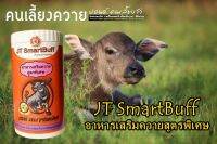 เจที-สมาร์ทบัพ (jt-smartbuff)