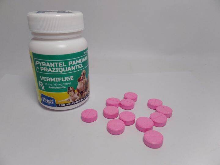 [CL REYES AGRIVET] 12PCS PAPI VERMIFUGE TABLET DEWORMER FOR DOGS ...