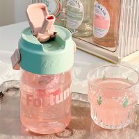 【CC】✎○  550ml cute water cup fruit tea built-in filter portable sports outdoor travel kettle coffee milk