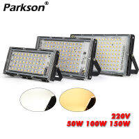 Flood light LED Spotlight For Outdoor House 50W 100W 150W AC 220V Foco LED Ceilin Light Exterior Dowm Street Lighting