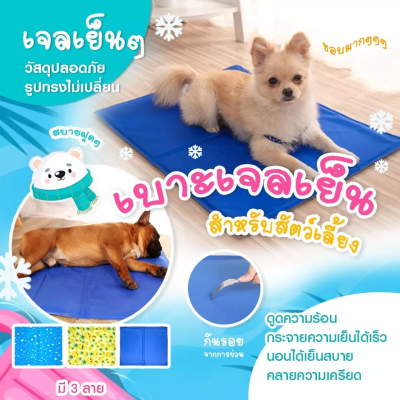 [พร้อมส่งจากไทย 🚚] แผ่นเจลเย็น ที่นอนเย็น ที่นอนเจลเย็น แผ่นทำความเย็น ที่นอนสัตว์เลี้ยง ที่นอนเจลเย็น ที่นอนแมว ที่นอนเย็น 🐾