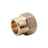 1/8 quot; 1/4 quot; 3/8 quot; 1/2 quot; 3/4 quot; 1 quot; BSP Female To Male Thread Brass Socket Pipe Fitting Adapter Coupler Connector For Fuel Gas Water