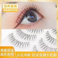 Grafting World Natural Sharpening False Eyelashes Transparent Stem Cross Soft Simulation Segmentation