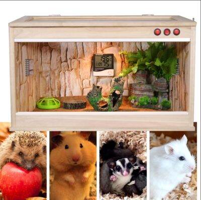 View of Large feeding nest cage hedgehog box honey warm blind date hamster ...