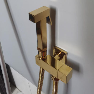 shine Gold Shower Set Douche Toilet Kit Bidet Sprayer ss Room Balcony Wall Mounted Stainless Steel Shiny Single Hole
