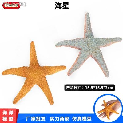🎁 ของขวัญ Childrens educational simulation model of Marine biological starfish echinoderms solid plastic bottom cognitive toys
