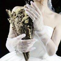 ▫✕□ Long Wedding Gloves