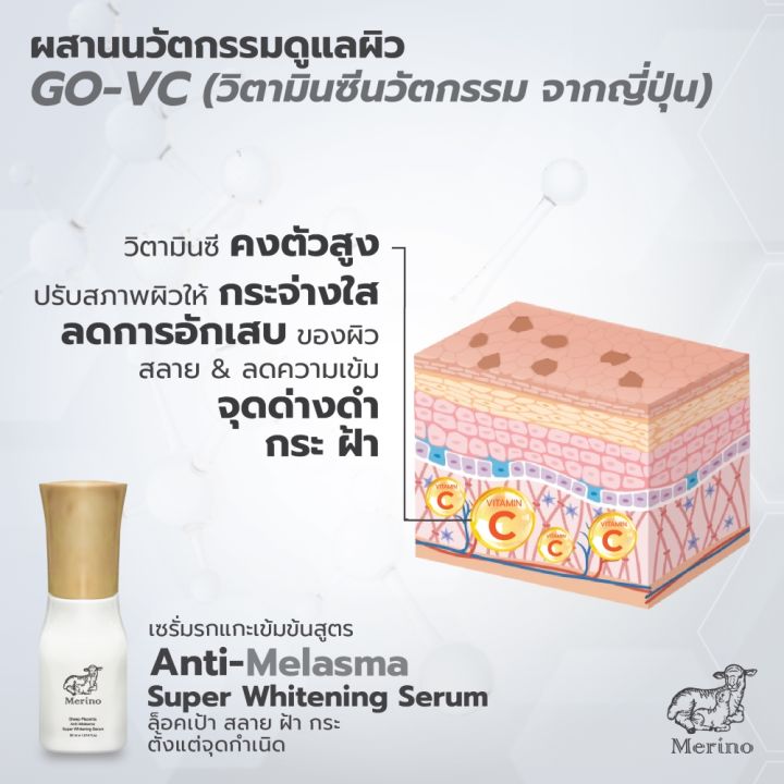 เซ็ตลดฝ้ากระ-เซรั่มรกแกะเข้มข้น-สูตร-anti-melasma-super-whitening-serum-ครีมรกแกะ-สูตร-whitening-ดูแลฝ้ากระ-ได้อย่างตรงจุด-ด้วยรกแกะแท้-อนุภาคนาโน