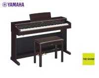 YAMAHA Digital Piano ดิจิตัลเปียโนยามาฮ่า รุ่น YDP 164R