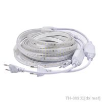 【LZ】⊙❉  220V LED Strip Lights with EU Plug SMD2835 120Leds/m White Warm White Natural White Flexible LED Tape Waterproof Outdoor Lamp