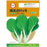 Vegetable heat-resistant red leaf cabbage potted field planting 25g balcony