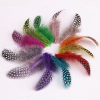 Dot Dyed Guinea Hen Plumage Feathers for Crafts Spotted Pheasant Jewelry Making Carnaval Assesoires