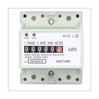 สองสายไฟฟ้าเฟสเดียว AC 220V 100A เครื่องวัดพลังงาน KWh Counter การบริโภคแบบอนาล็อกวัตต์มิเตอร์ไฟฟ้า (A)