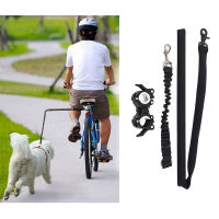 Run For Exercise Bike Walk Leash Dog Outdoor