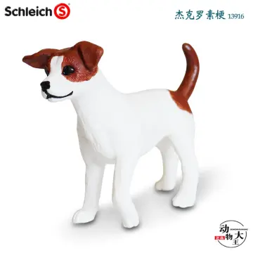 13916 - Jack Russell Terrier