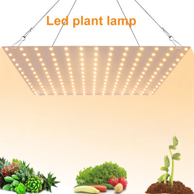 Rebrol【จัดส่งฟรี】 LED Grow Light Full Spectrum ที่มีประสิทธิภาพ Phyto Lamp Plant Seeds Lamp Plant Growing Light สำหรับเมล็ดในร่มดอกไม้ผัก