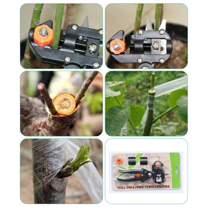 คละสี-กรรไกรตอนกิ่ง-คีมตอนกิ่ง-ชำเสียบกิ่ง-2-ใบมีด-grafting-cutting-tool-กรรไกรตอนกิ่งไม้-กรรไกรตอนกิ่งต้นไม้