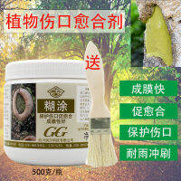 Guoguang สารเคลือบรักษาบาดแผลสับสน,สารเคลือบครีม Dashu สารเคลือบผิวต้นไม้500G นักฆ่าแมลงไฟฟ้าทางการเกษตร