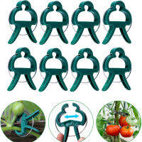 10-100Pcs Reusable Green Garden Plant คลิปคงที่สำหรับ Greenhous ผักดอกไม้ Stem Vines Grape Clamp Support Fastener