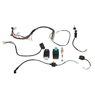 Atv 150Cc 200Cc 250Cc Ignition Coil Harness Switch Assembly Wiring Harness Coil Rectifier CDI ATV Solenoid Spark Plug Quad Pit Dirt Bike Buggy Go Kart Kits