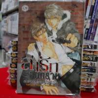 การ์ตูนวาย หนังสือการ์ตูนวาย เรื่อง ล่ารักอันตราย เล่ม 9 กลรักสัญญาลวง