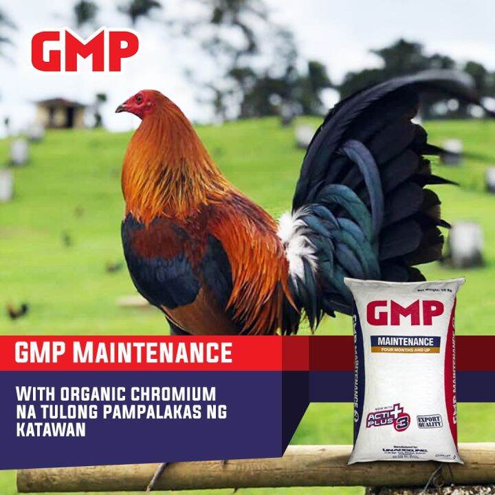 [SOUTH VET] GMP Maintenance 4 months and up for Gamefowl Fighting Cocks / Repacked 1kg 2kg 3kg