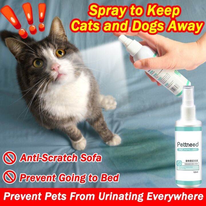 TRAINING Cat Repellant Cat Repellent Spray For Prevent cats and dogs