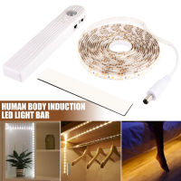 LED Strip Light Battery Lamp Human Body Induction Light Strip Stair Lights Under Bed Cabinet Closet Night Light Decoration