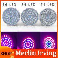 Merlin Irving Shop 110V 36/54/72 LED Plant Grow Light Lamps Indoor Cultivo Flower Red Blue Growing Light For Hydro Growbox Fitolampy