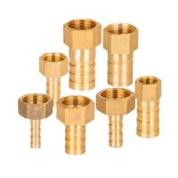 Brass Hose Fitting 4mm 6mm 8mm 10mm 19mm Barb Tail 1/8 1/4 1/2 3/8 BSP Female Thread Copper Connector Joint Coupler Adapter