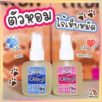 ◎Chin ji บำรุงขนสุนัข บำรุงขนแมว สมุนไพรกำจัดเห็บหมัด 30 ml  กลิ่นหอม สดชื่น ขนนุ่ม❤