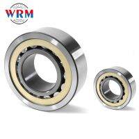 Cylindrical roller bearing NJ1004M NJ1005M NJ1006M NJ1007M NJ1008M bearing