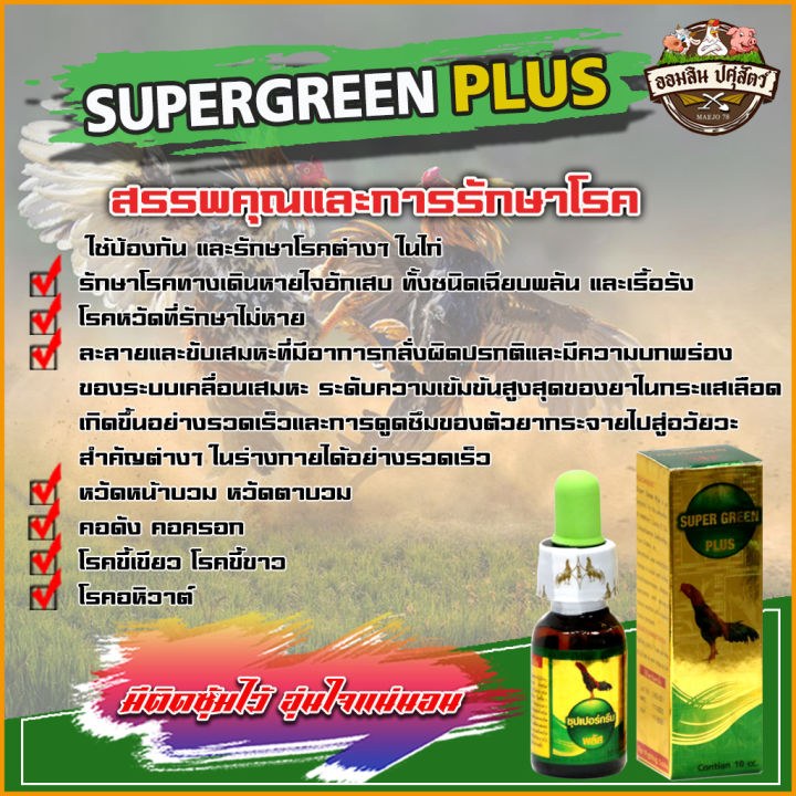 ซุปเปอร์กรีนพลัส-super-green-ใช้ป้องกัน-และรักษาโรคต่างๆในไก่-หวัดหน้าบวม-คอดัง-คอครอก-โรคขี้เขียว-โรคขี้ขาว-โรคอหิวาต์