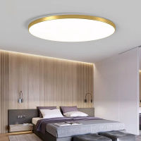 Ultra Thin 2CM LED Ceiling Lamp for Living Room 48W 36W 24W 18W Led Chandelier Ceiling Lights for Dining Room Bathroom Lighting