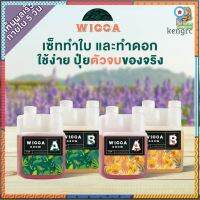 Wicca Grow  ปุ๋ยต้นไม้พรีเมี่ยม สำหรับต้นไม้ทุกชนิด ใบสวยแข็งแรง และสูตรเร่งดอกผลผลิตใหญ่ สินค้ามีจำนวนจำกัด