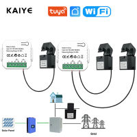 Tuya Smart 2 Way WiFi Energy Meter Bidirection 1 2ช่องพร้อม Clamp App Monitor พลังงานแสงอาทิตย์ที่ผลิตและใช้พลังงาน AC110V 240V