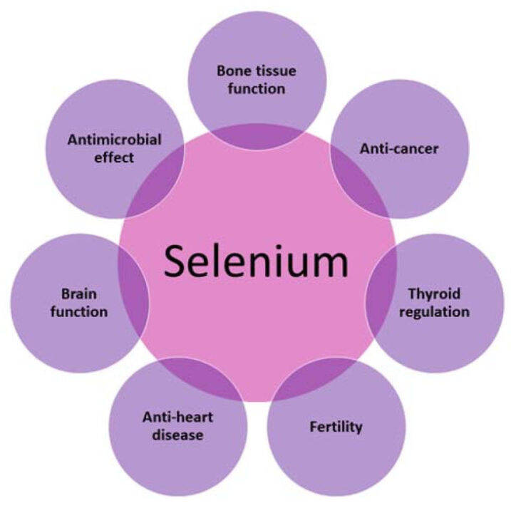 ซีลีเนียม-selenium-200-mcg-100-tablets-natures-bounty